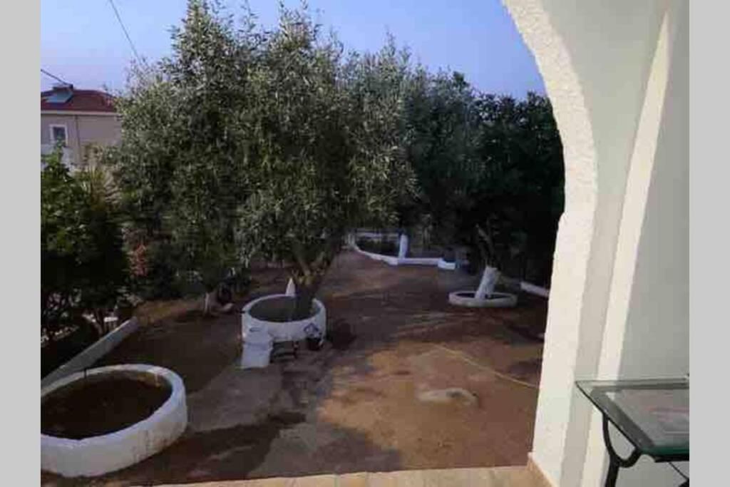 Panorama Apartment Porto Rafti Luaran gambar